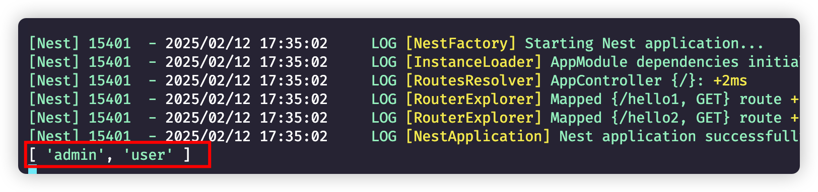 image-20250212173620442