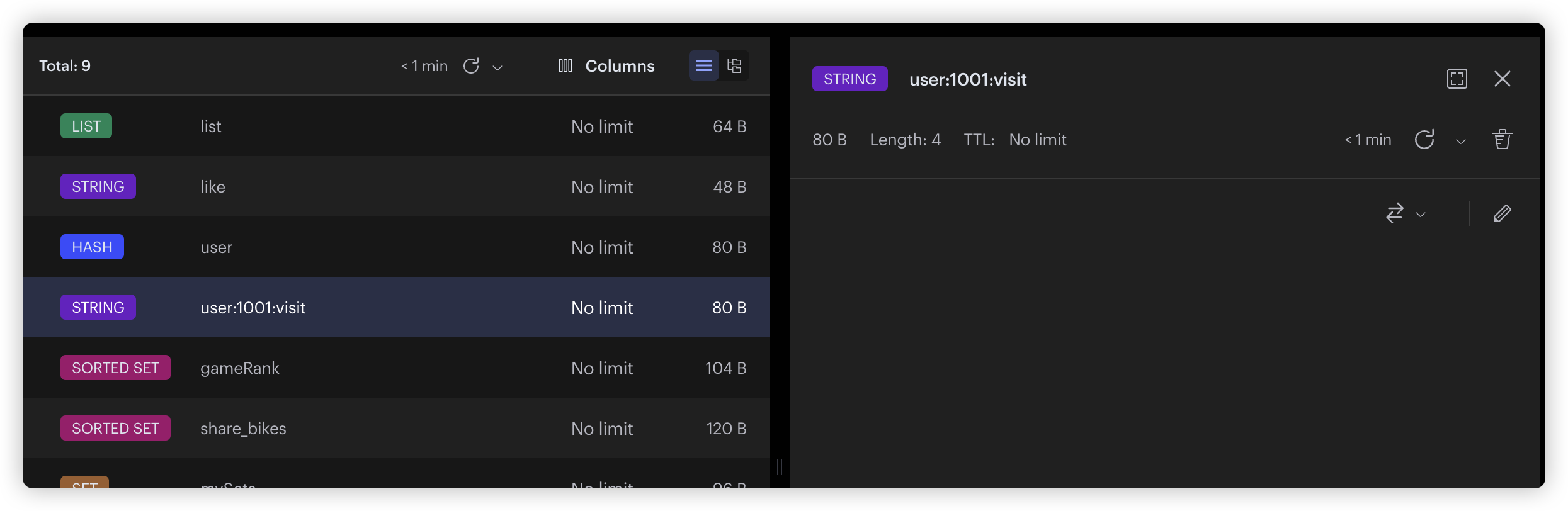 image-20250205171607303