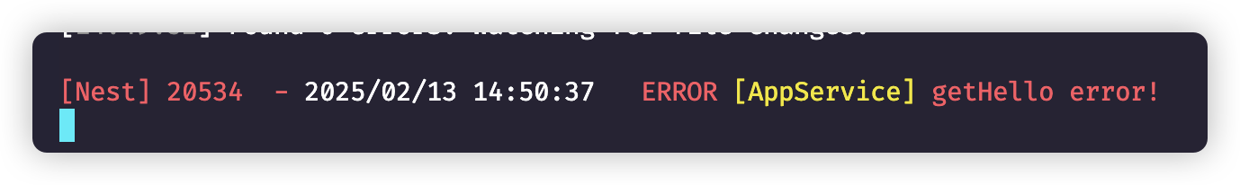 image-20250213145139058